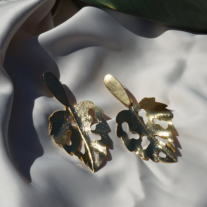 Tropical Sunlit Leaves